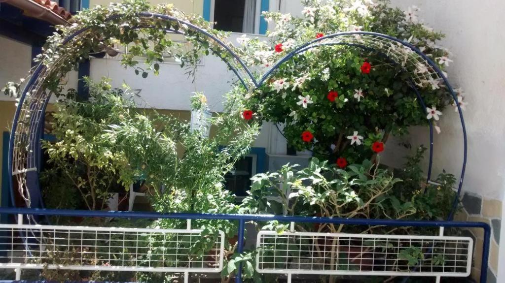 Apollonia Apartments Agia Pelagia  Exterior photo