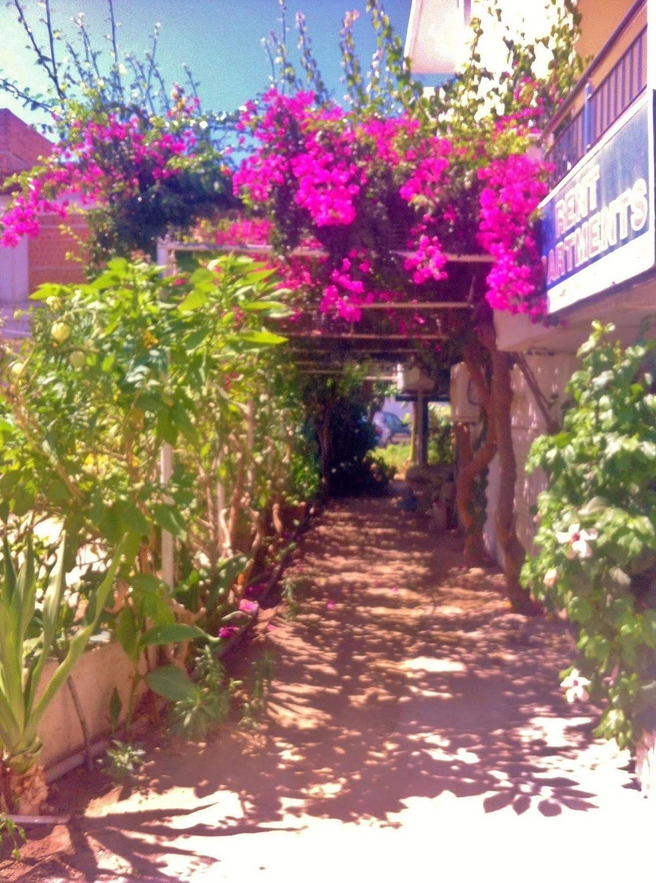 Apollonia Apartments Agia Pelagia  Exterior photo